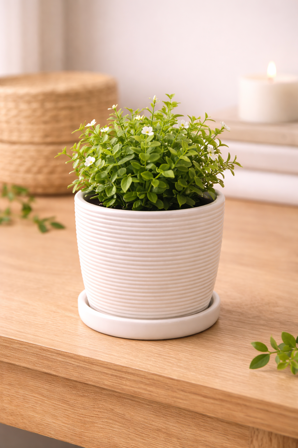 Decorative Ceramic Flower Pot